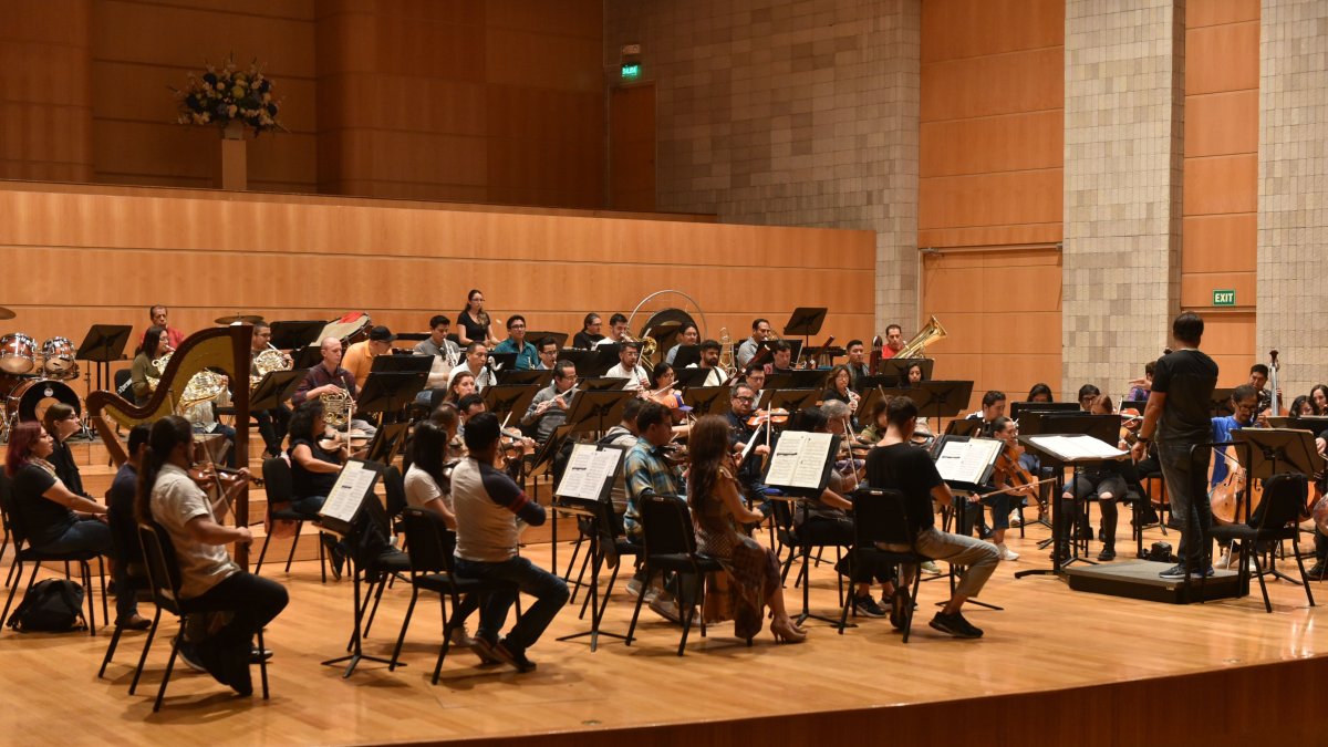 El pasado 26 de enero se suspendió la segunda función del Concierto de Año Nuevo con música de la dinastía Strauss.