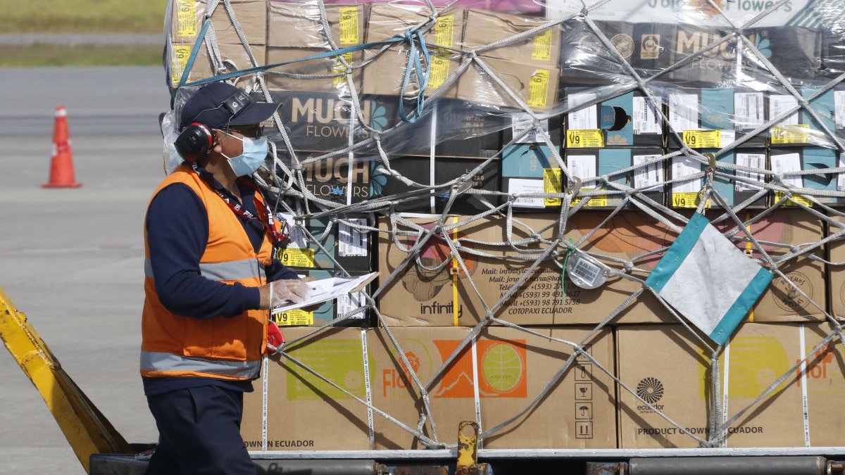 El sector prevé el envío de 22.000 toneladas para esta temporada