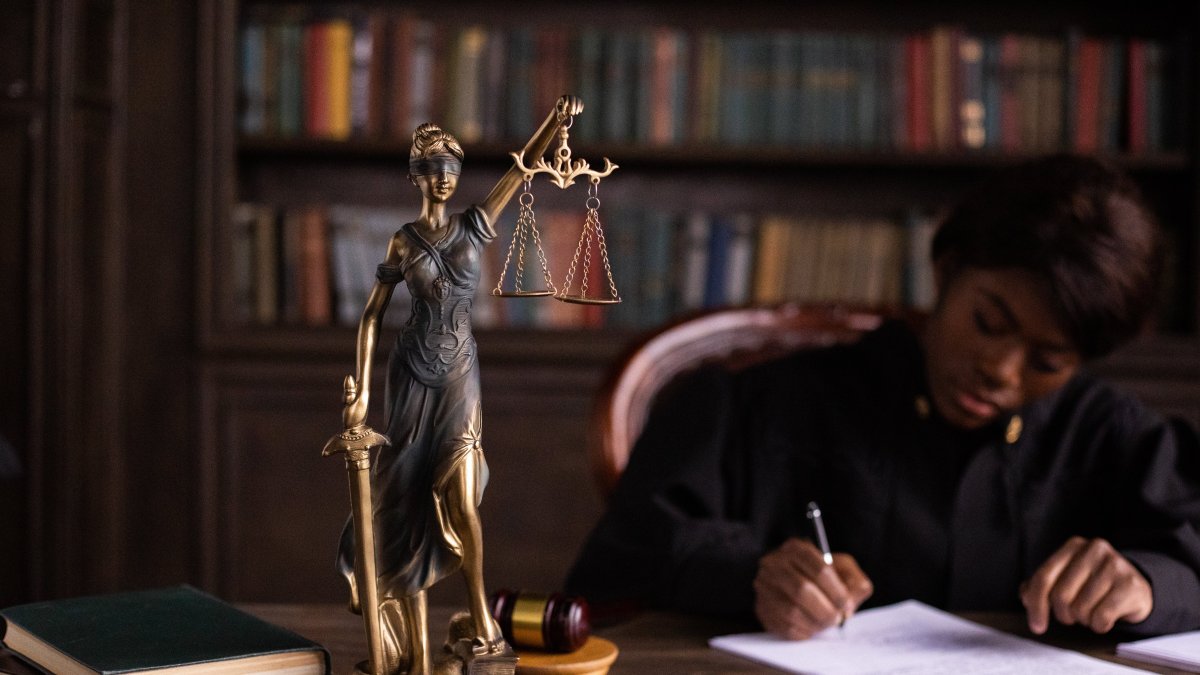 Demanda. Se considera necesario este proceso por daños a la integridad, al patrimonio o a los bienes.