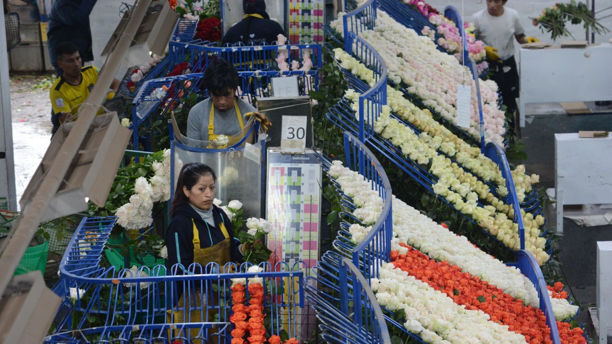 Mano de obra. El 80 % de las operadoras en esta área es mujer.