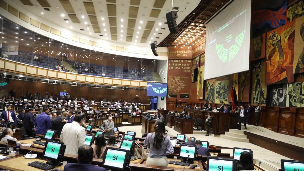 La Asamblea Nacional aprobó la propuesta legal este 6 de febrero de 2024.