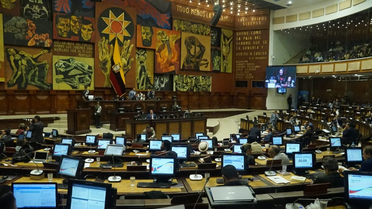 El Pleno de la Asamblea sesionará este 9 de febrero para resolver sobre el veto parcial respecto al incremento del IVA.