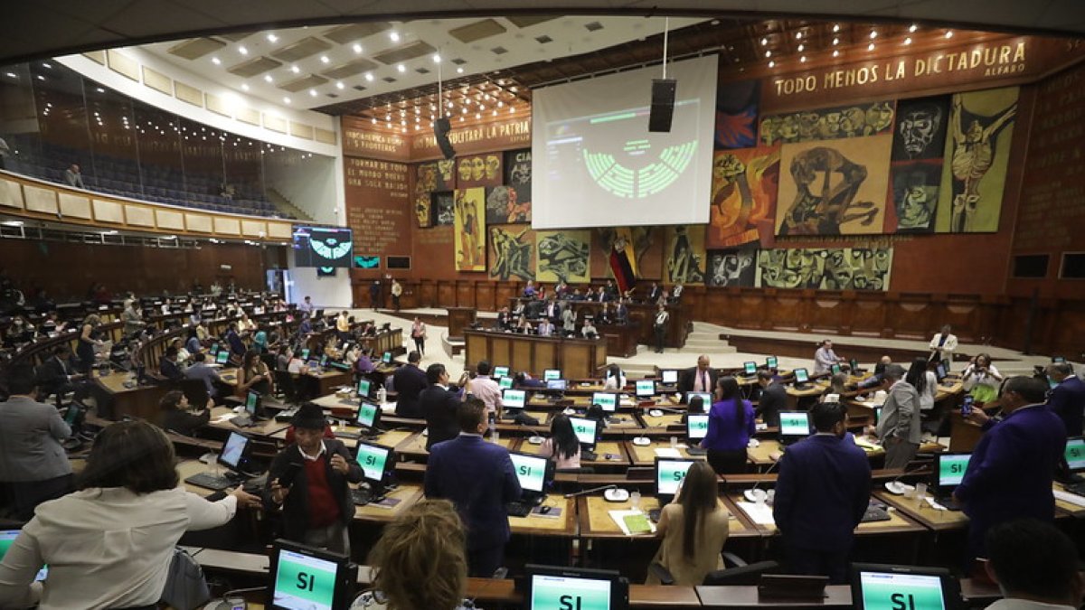El pleno de la Asamblea aprobó por unanimidad la Ley Orgánica para el Ahorro y la Monetización de Recursos Económicos para el Financiamiento de la Lucha Contra la Corrupción.