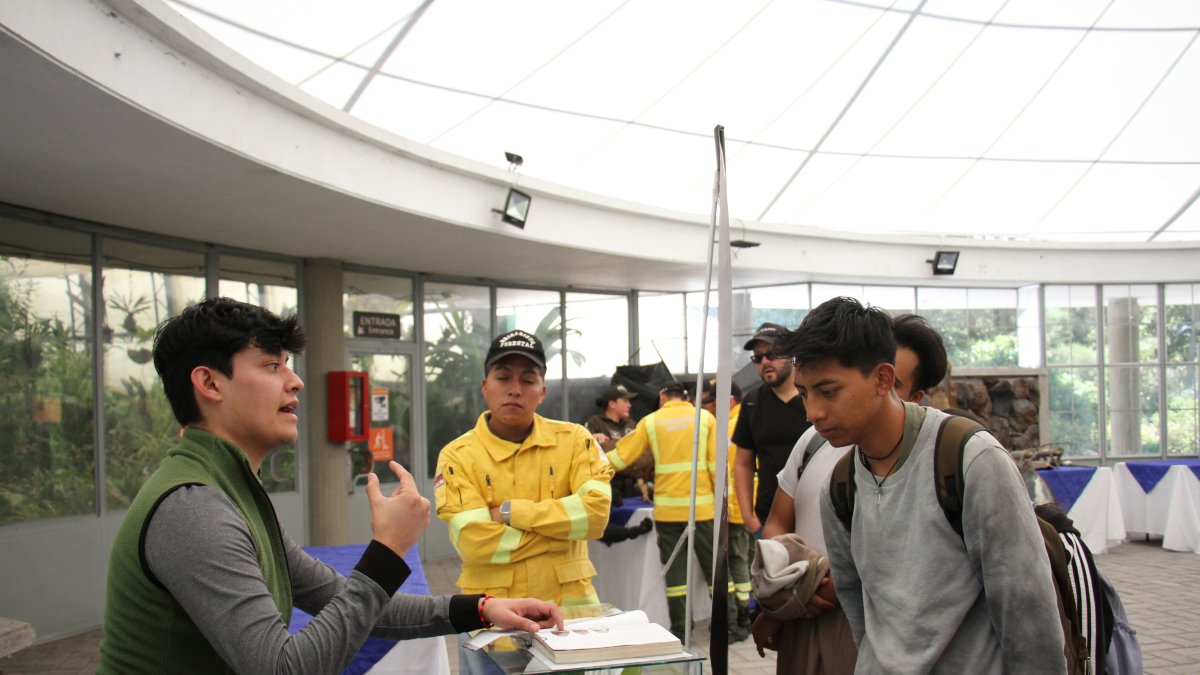 En Quito se realizarán distintas actividades por carnaval. Algunas son gratuitas y otras tienen costo.