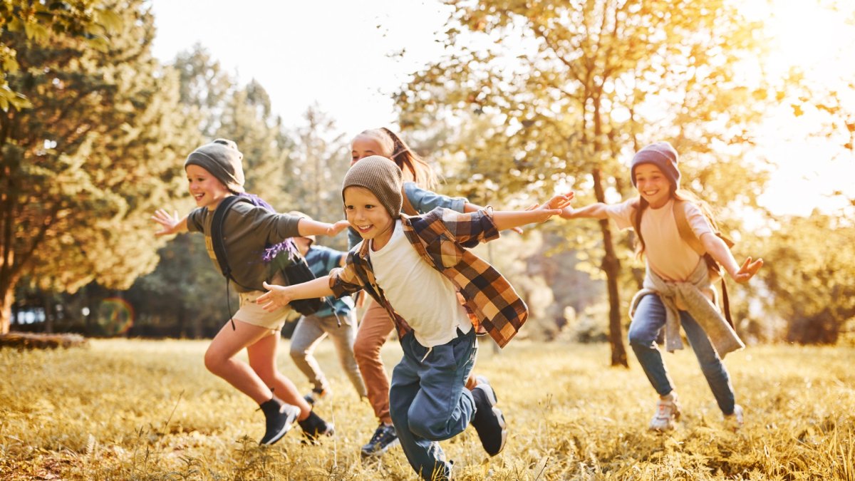 Déjelos correr por el parque y disfrutar de la naturaleza