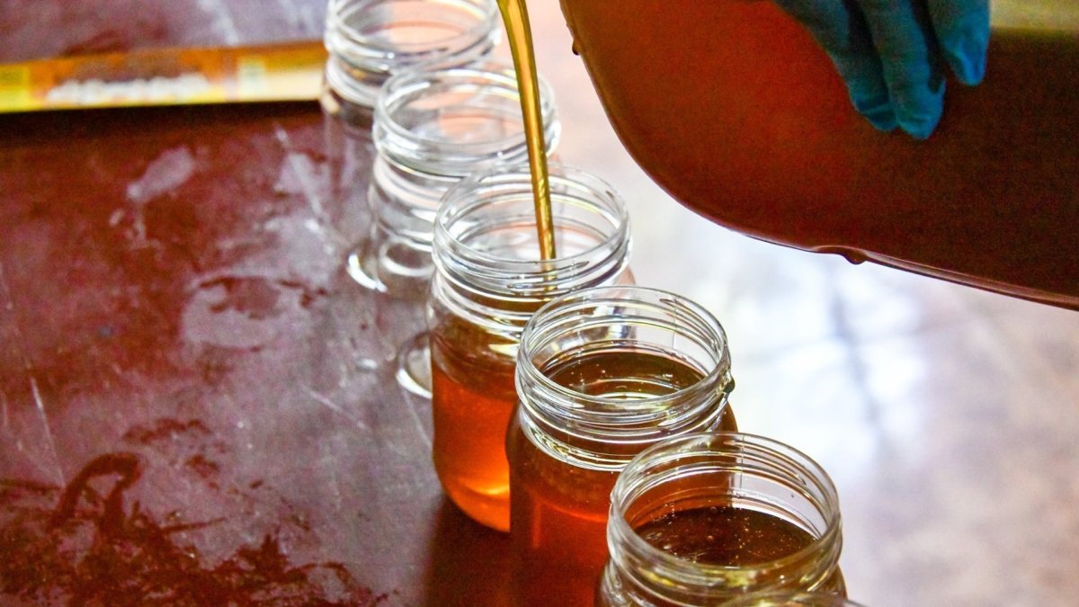 La miel que se produce en San Marcos se distribuye a diversas partes del país.