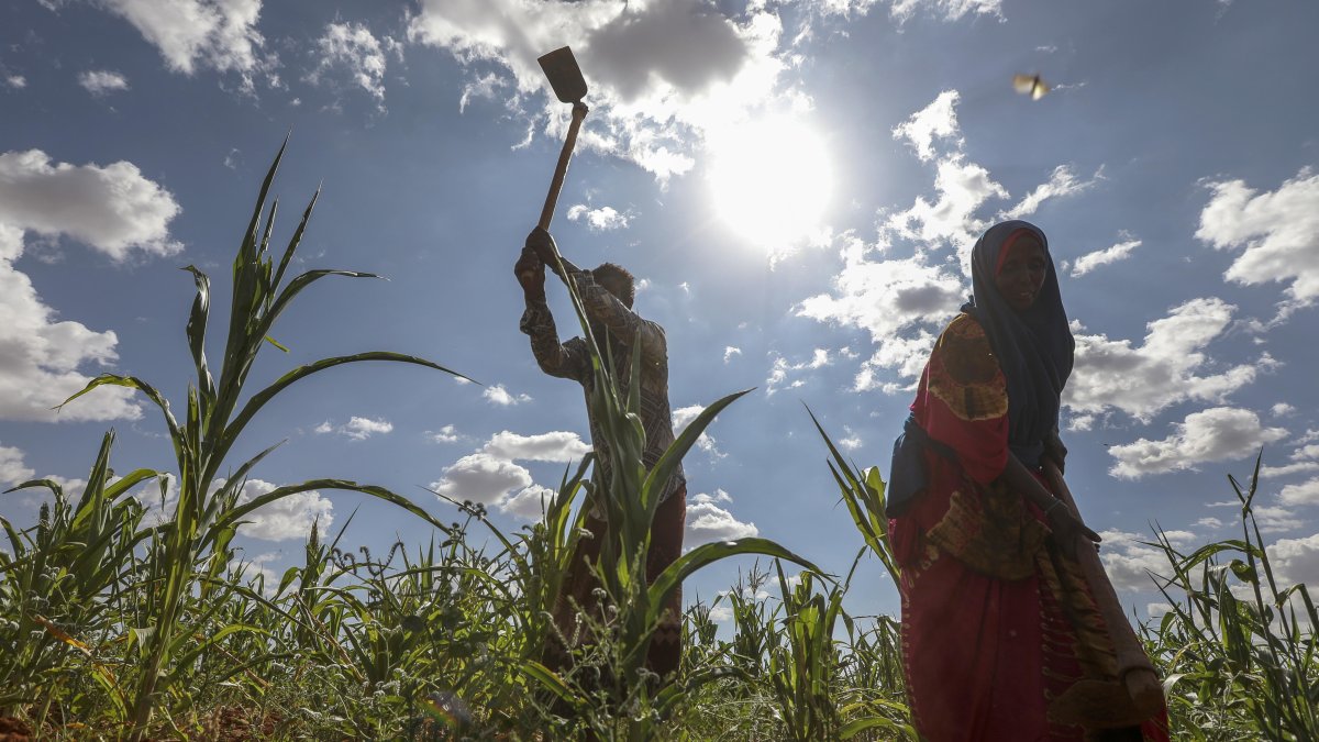 Panorama. Habitantes han visto la tierra de Somalia agrietada por la sequía y arrasada por las inundaciones