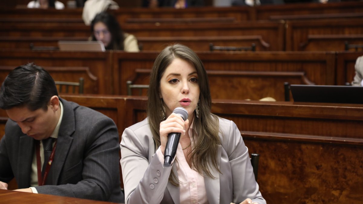 Correísta. La asambleísta Mónica Palacios dijo más de lo que puede probar. Acusó a la ministra de Gobierno, Mónica Palencia, de encubrir a las mafias.