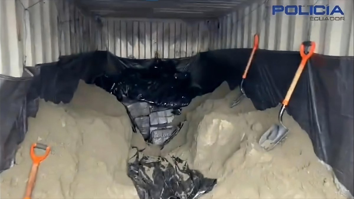 Un can antinarcóticos halló el rastro de la cocaína, que estaba enterrada en el concentrado de mineral.