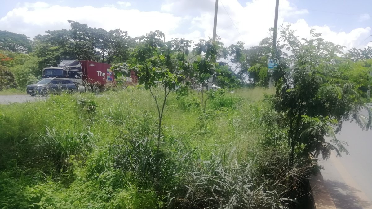 Hecho. Así permanecen algunos tramos de los parterres de vía a la costa.