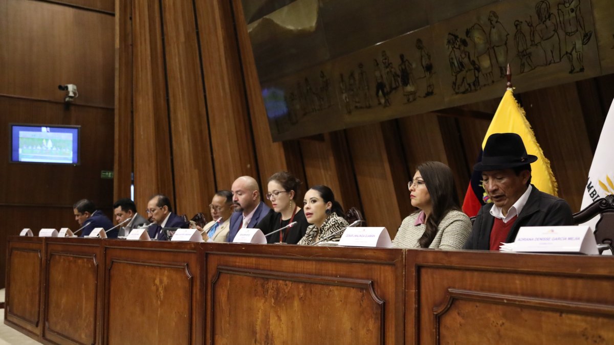 La Comisión de Fiscalización está presidida por la legisladora correísta Pamela Aguirre.