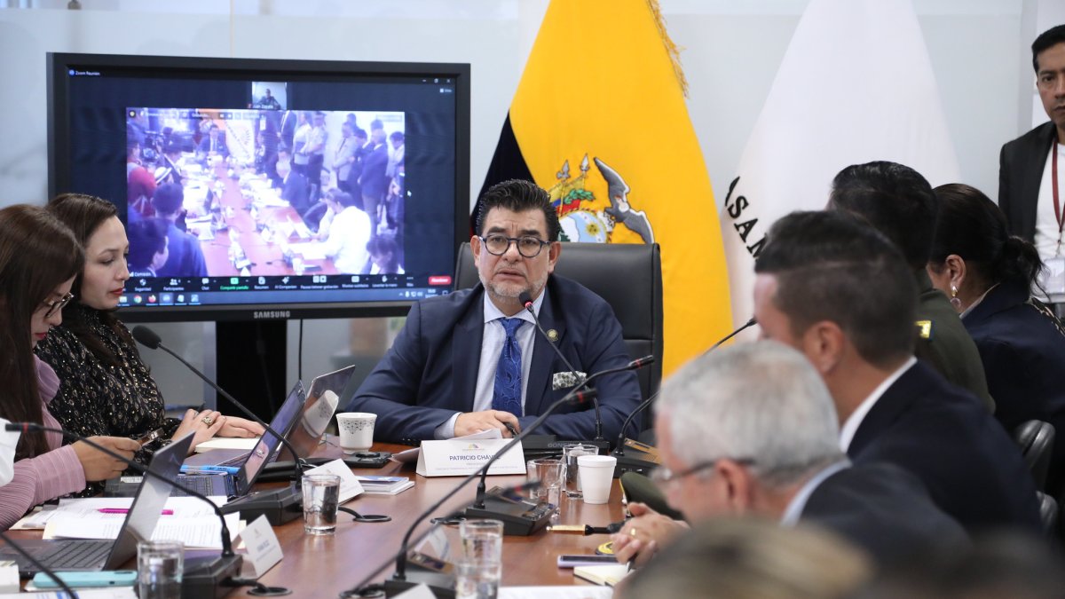 El presidente de la mesa de Participación, el asambleísta correísta Patricio Chávez.