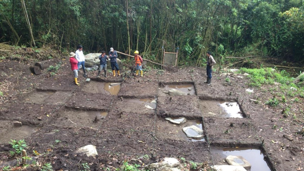 Amazonía. Un grupo de arqueólogos observa la zona de excavaciones en un lugar de exploración.