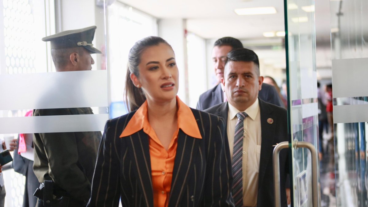 La presidenta del Consejo de Participación, Nicole Bonifaz, en una comparencia en la Asamblea.