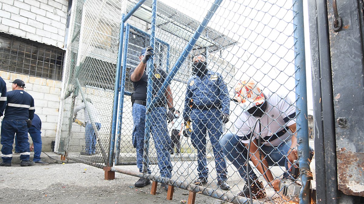 Personal municipal retiró siete rejas en varias cooperativas del sur.