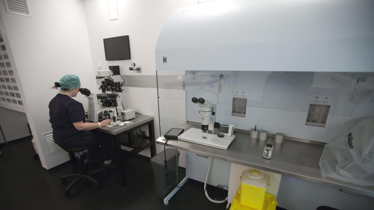 Investigadores de la Universidad Monash en Australia han desarrollado una técnica no invasiva de ultrasonidos que aumenta la movilidad de los espermatozoides humanos hasta un 266 %.