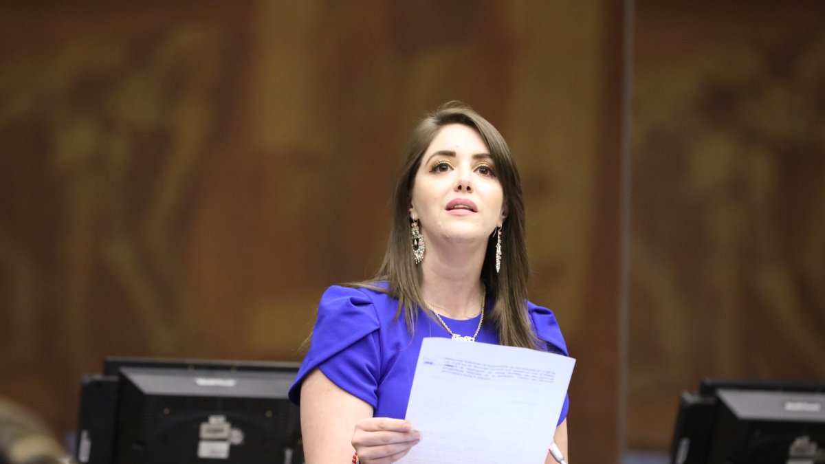 La legisladora protagonizó un incidente en la Comisión del caso Villavicencio.