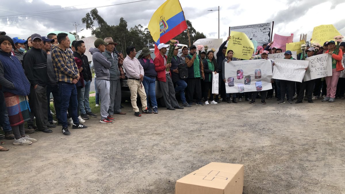 Los productores de claveles realizaron un plantón, todos llevaban carteles y ramos de claveles.