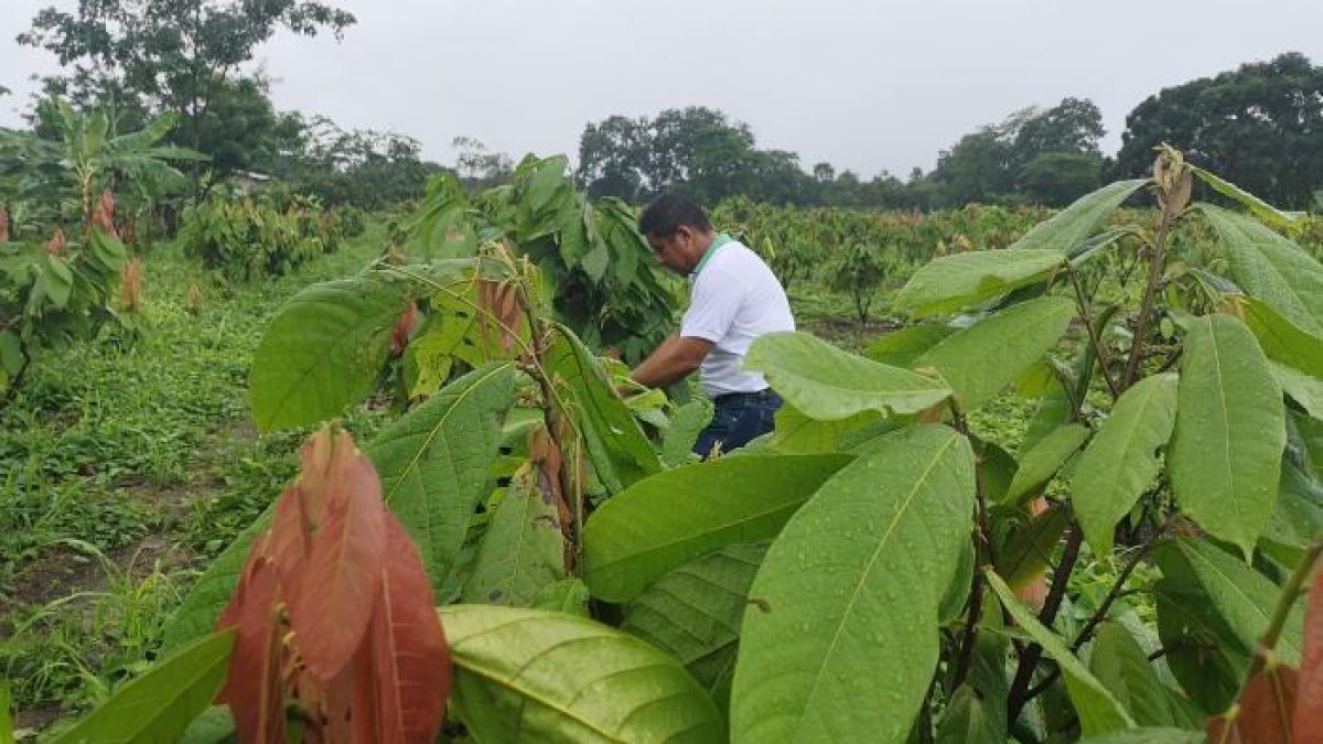 Esta actividad involucra alrededor de 400.000 personas.