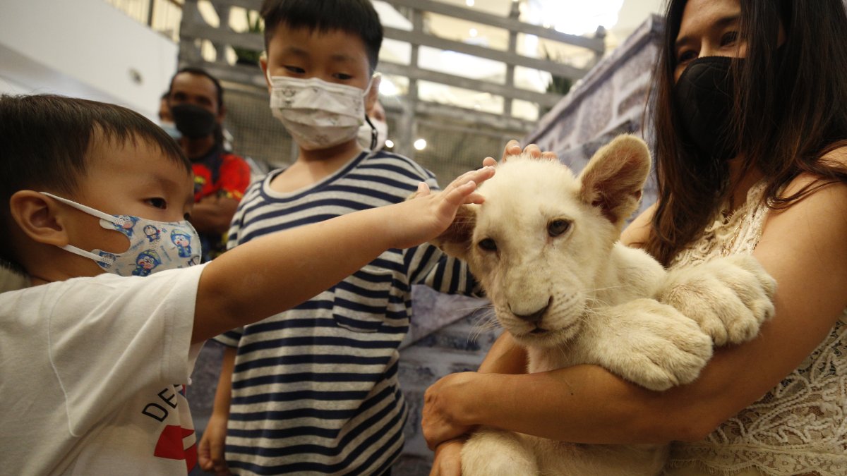 Una mujer con un cachorro de león.