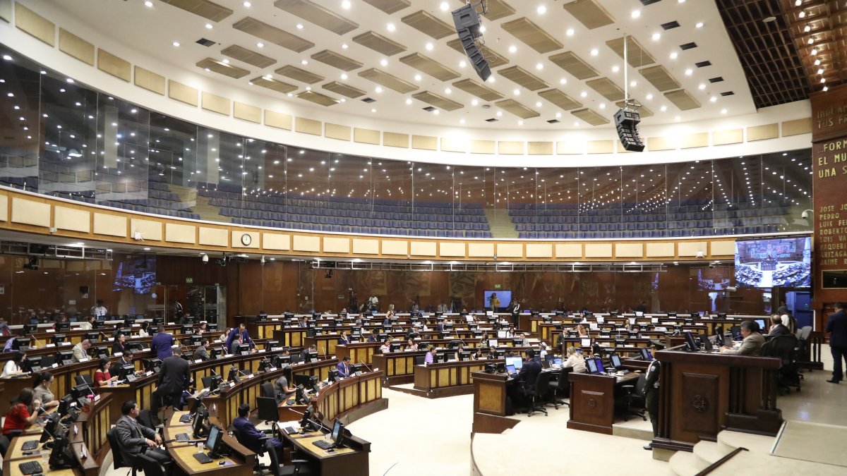 Pleno. La próxima semana, los asambleístas retomarían su labor en torno a las reformas al COIP, aunque esta discusión se podría reactivar hasta en un mes.