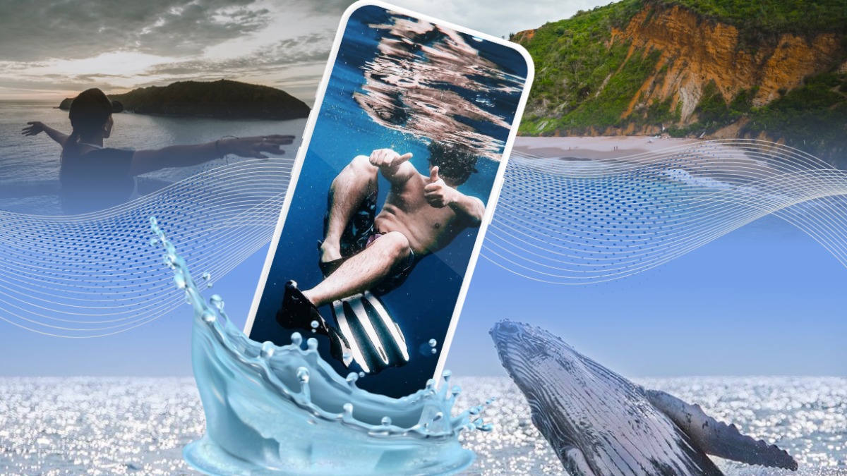 Ppuede disfrutar de buceo, avistamiento de ballenas, flora, fauna y más.,