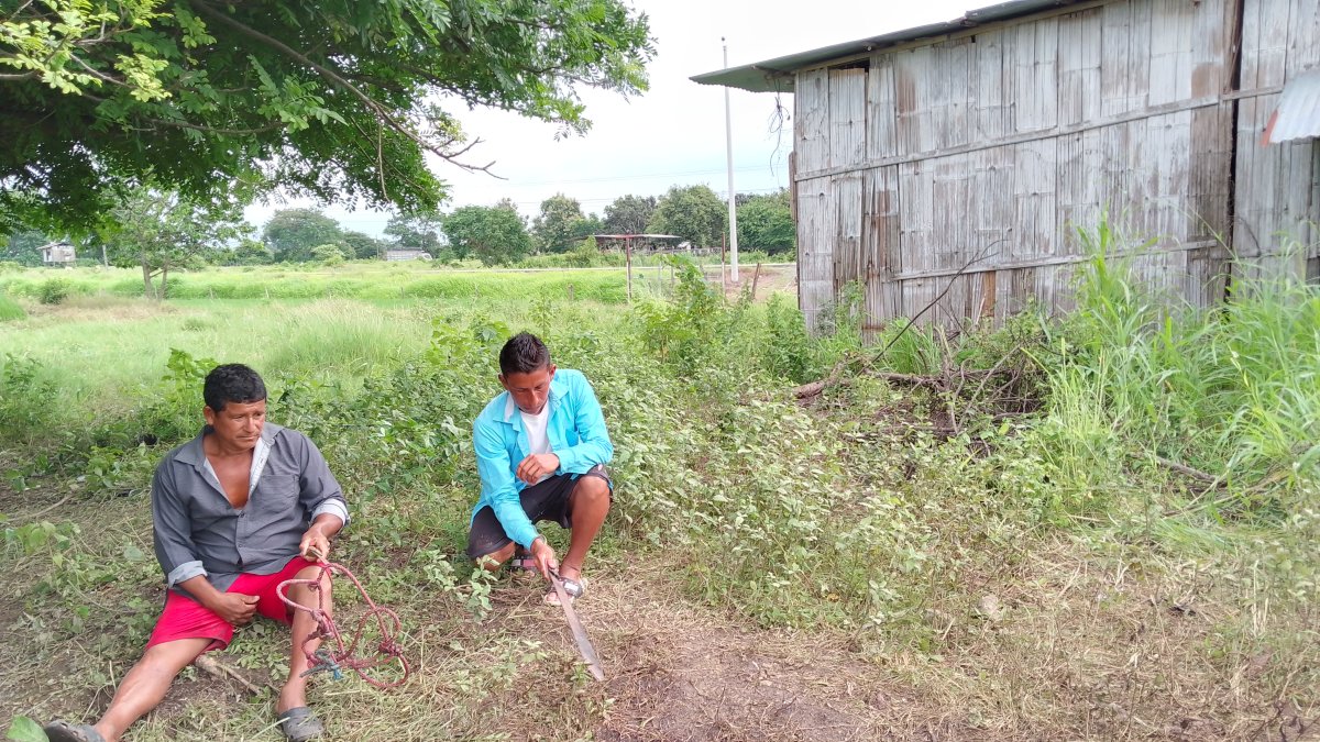 Impotencia. Polo Ortega y su hijo lamentaban el robo de sus caballos.