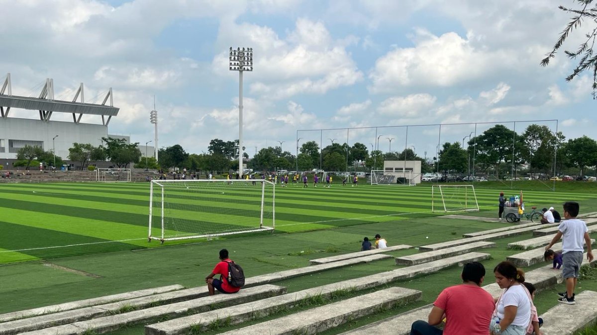 Caso. Una gráfica de canchas del Parque Samanes.