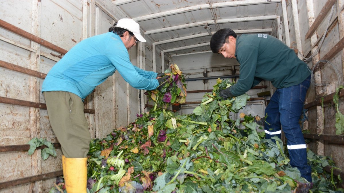 Recolección. Los productos que ya no se venden son direccionados a los proyectos agrícolas.