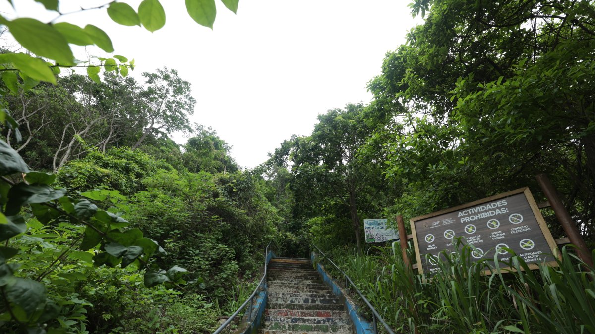 La actividad en el Cerro Paraíso se desarrollará este martes 30 de abril.