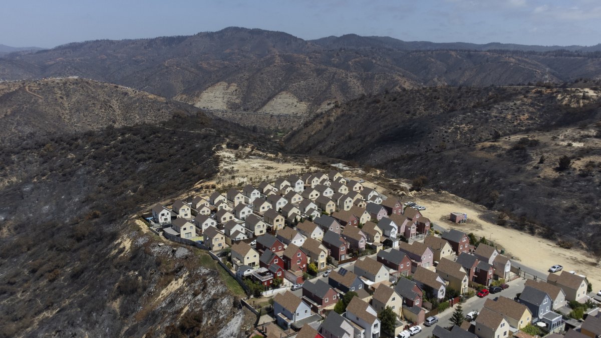 Quilpué. El barrio de Botania quedó intacto, las llamas se apagaron.