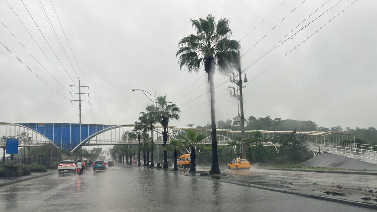 Las lluvias generaron que parte de los parterres centrales sean cubiertos.