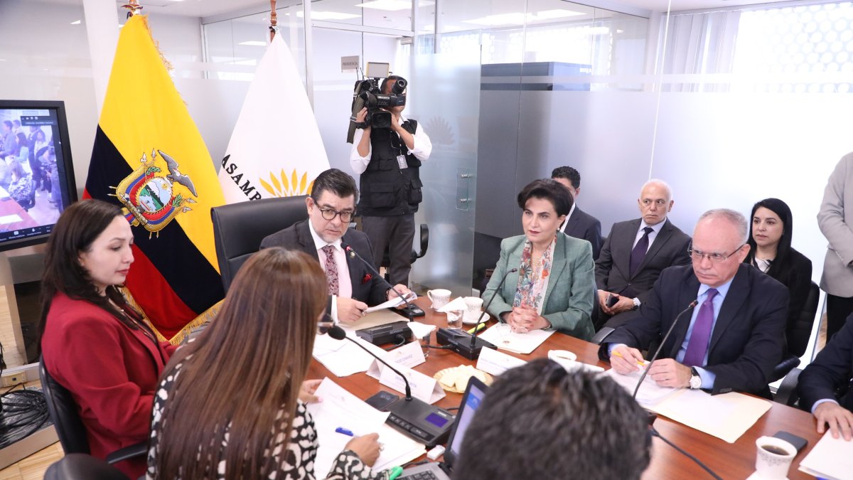 Gabriela Sommerfeld en la Comisión de Transparencia.