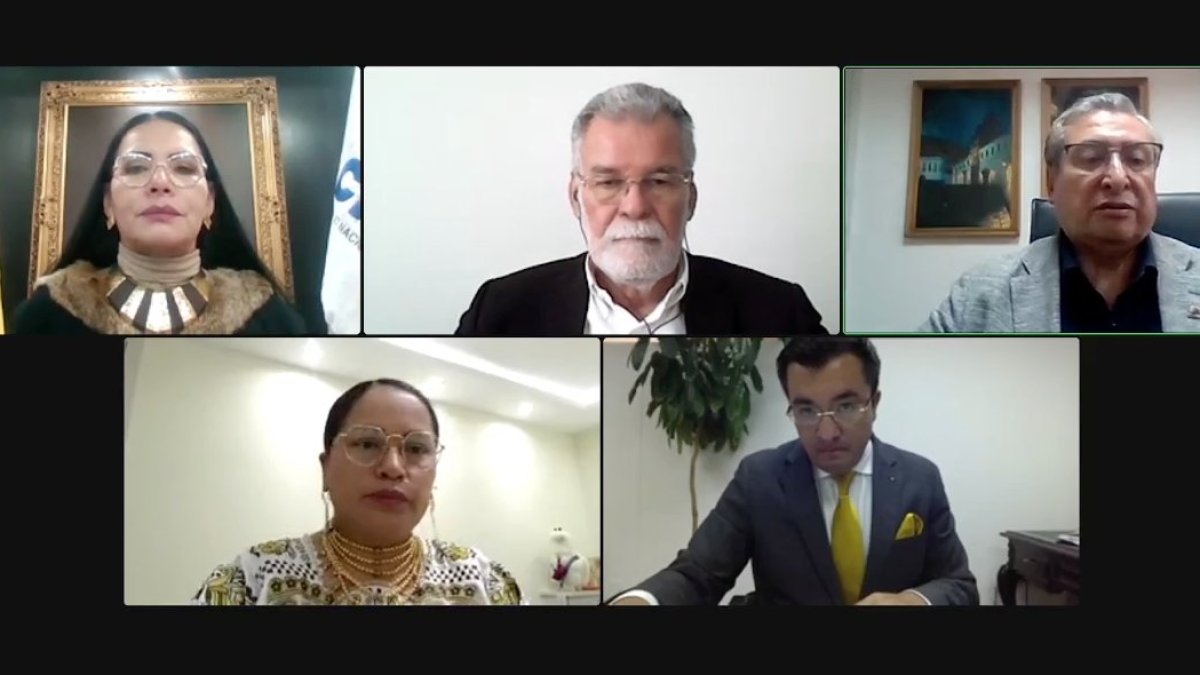 La sesión del órgano electoral se hizo de forma telemática, el 20 de febrero de 2024.