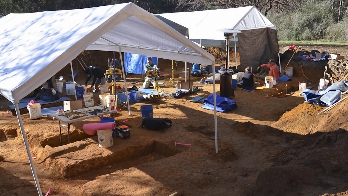 El terreno donde se encontraron los restos de las víctimas del reformatorio para jóvenes Arthur G. Dozier, en la localidad rural de Marianna