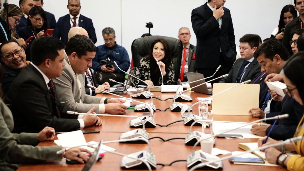 El contralor, Mauricio Torres, dijo en la Asamblea que analiza a exministros y otros exfuncionarios de Guillermo Lasso.