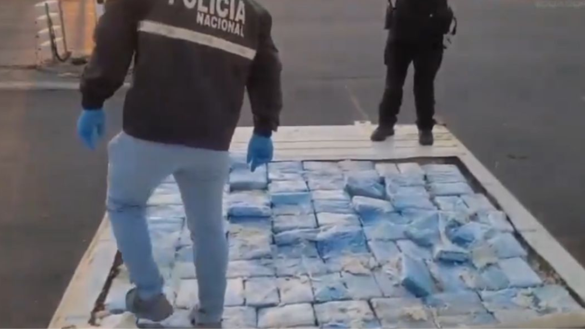 El alcaloide se encontraba dentro de un contenedor.