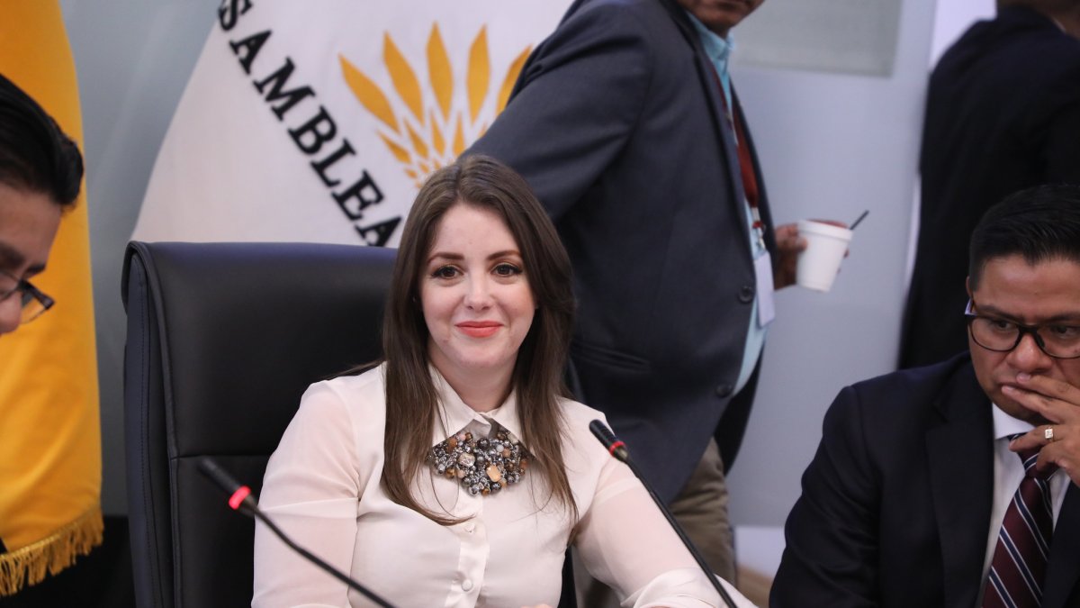 La legisladora Mónica Palacios pertenece a la mesa legislativa de Soberanía Alimentaria.