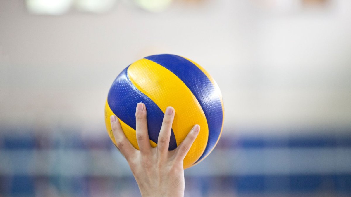 Vóley forma parte de la programación para este sábado 24 de enero.