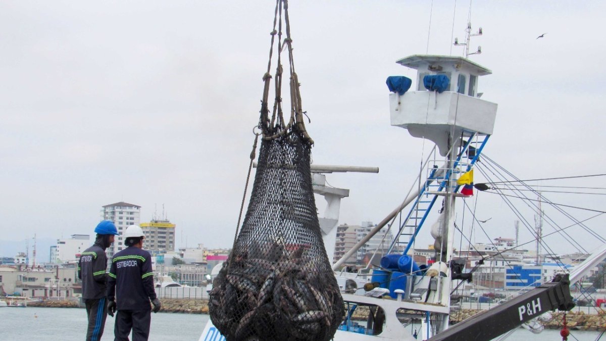 Labor. Una de las naves nacionales pescando en Ecuador.