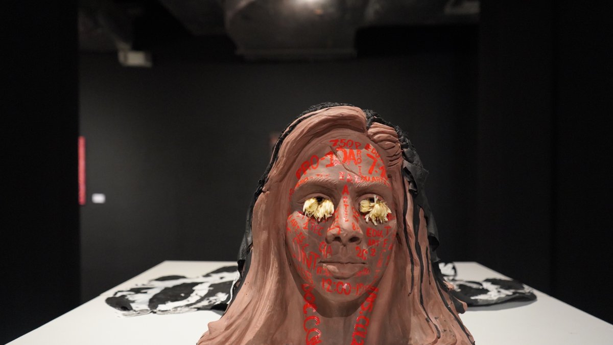 Muestra. La exposición abrió sus puertas en el museo Nahim Isaías.