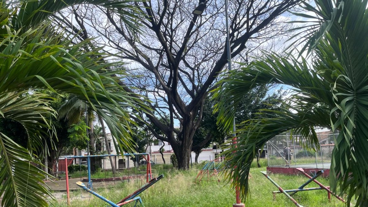 Centenario. El parque luce descuidado y con mucha maleza en los juegos.