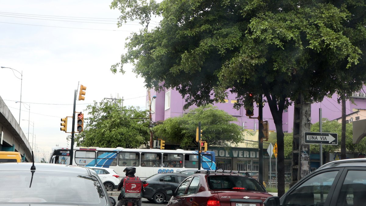 En la avenida Francisco de Orellana también se evidencia el problema