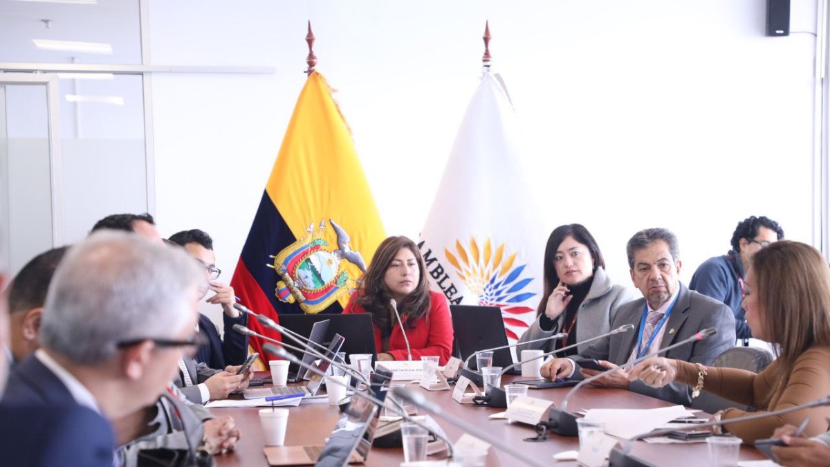 Comisión recibe observaciones sobre el proyecto de Ley de Armas, Municiones, Explosivos y Accesorios.