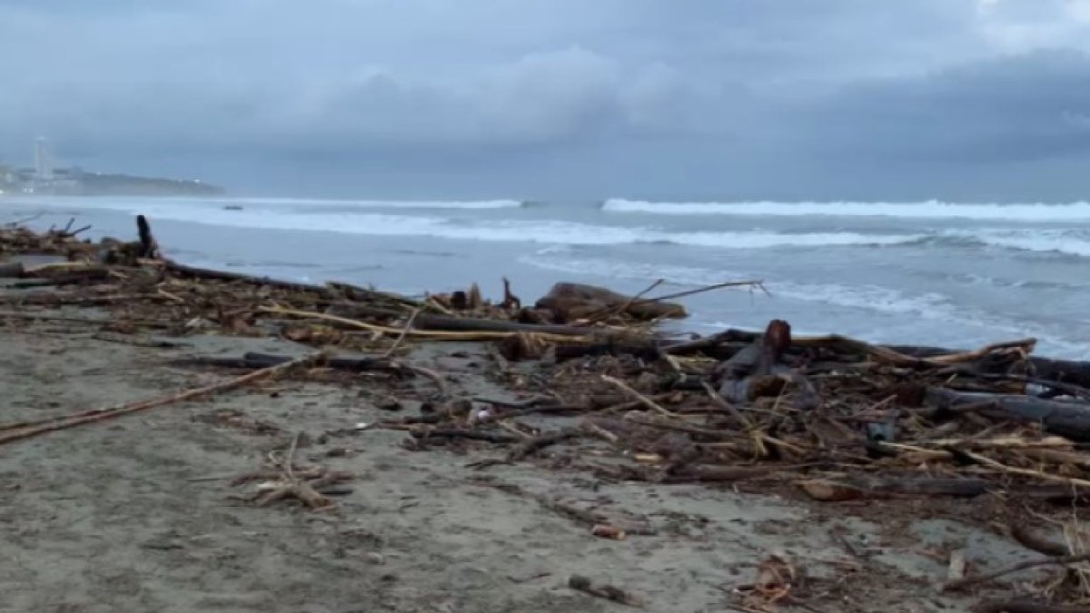 Varias playas de Manabí registraron gran cantidad de palizada