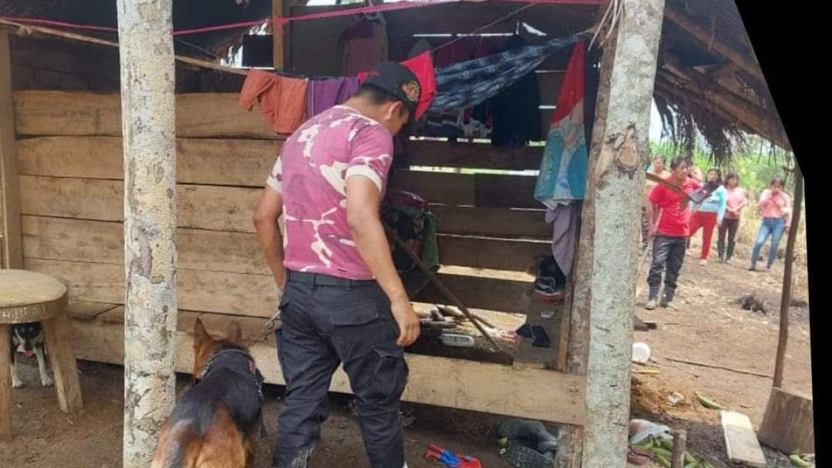 El can ‘señaló’ el punto donde estaba la menor