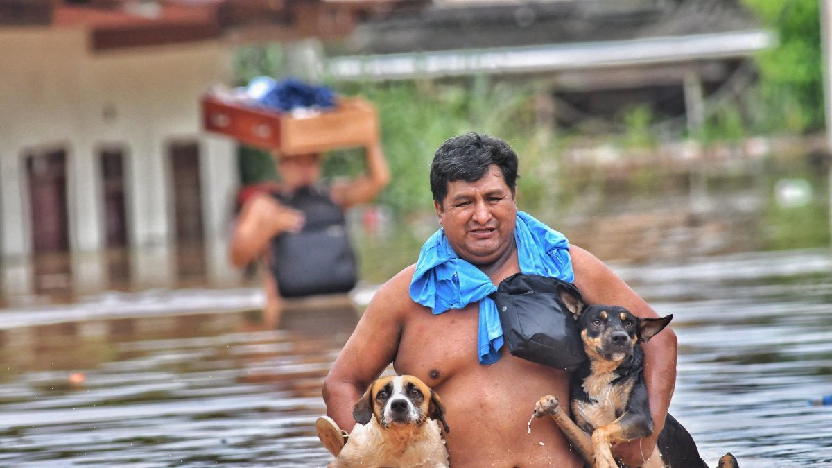 Una persona traslada a sus mascotas, luego que el río Acre aumentara su caudal, este 26 de febrero de 2024 en Cobija en el departamento de Pando (Bolivia).