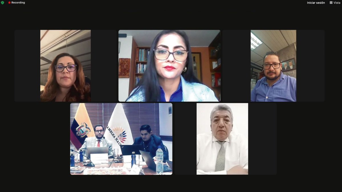 La primera vicepresidenta de la Asamblea, la correísta Viviana Veloz, presidió la sesión del CAL.