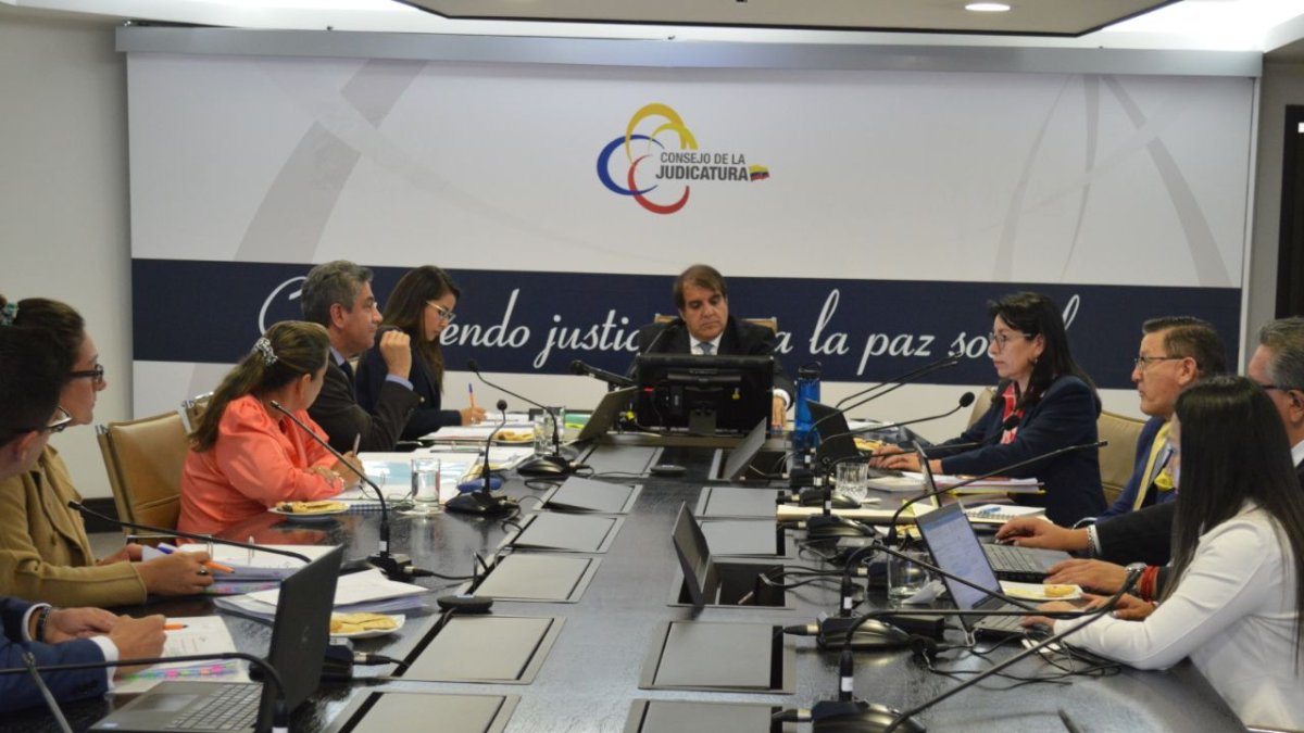 Solanda Goyes participó en la sesión del 27 de febrero aún como vocal suplente.