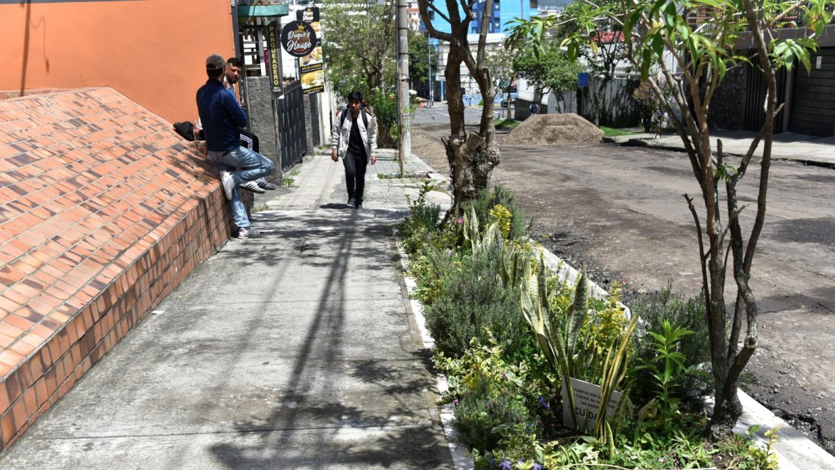 En la calle Vicente Ramón Roca y 6 de Diciembre se colocaron espacios con una variedad de plantas.